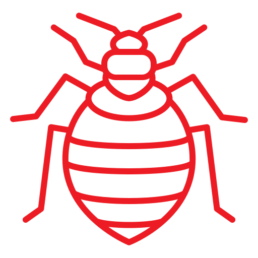 Bed bugs