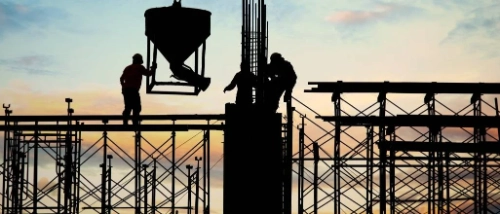 Trusted Pest Control Building and Construction