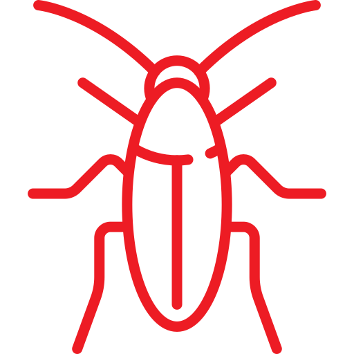 Cockroaches