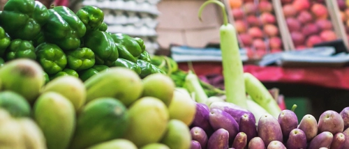 Trusted Pest Control Food Retail