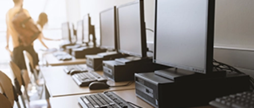Trusted Pest Control IT Industry