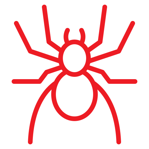 Spiders