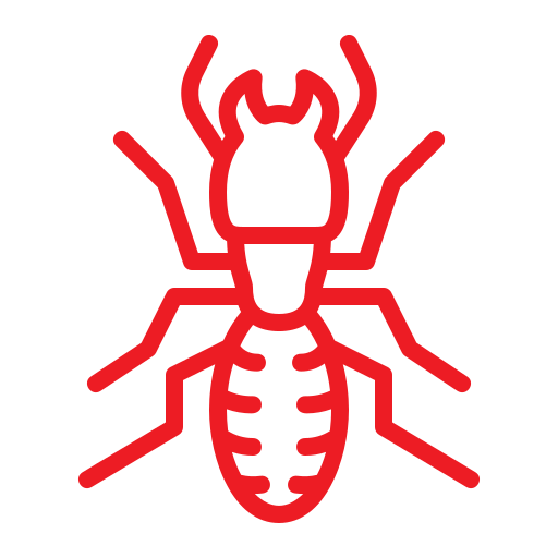 Wasps